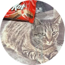 kitkat icon