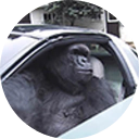 GIAC icon
