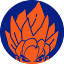 SSJ icon