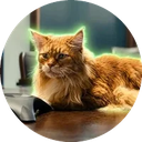 Gus icon