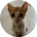 JUGNI icon