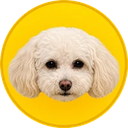 Korico icon