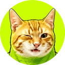 CATI icon