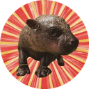 HAGGIS icon