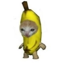 香蕉猫 icon
