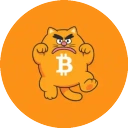 比特币 猫 icon
