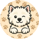 XIAO icon