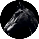 黑马 icon