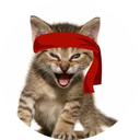 TYGR icon