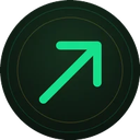 ROOK icon