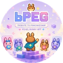 bPEG icon