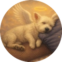 Papi icon