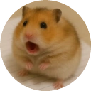 HAM icon