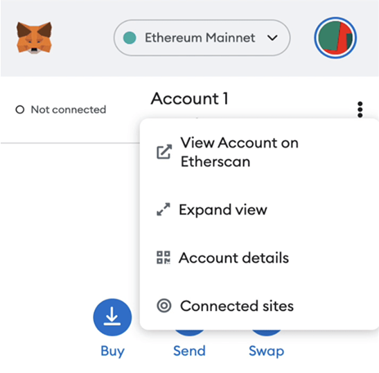 Metamask wallet screenshot